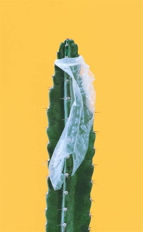 how often do condoms break|Condoms .
